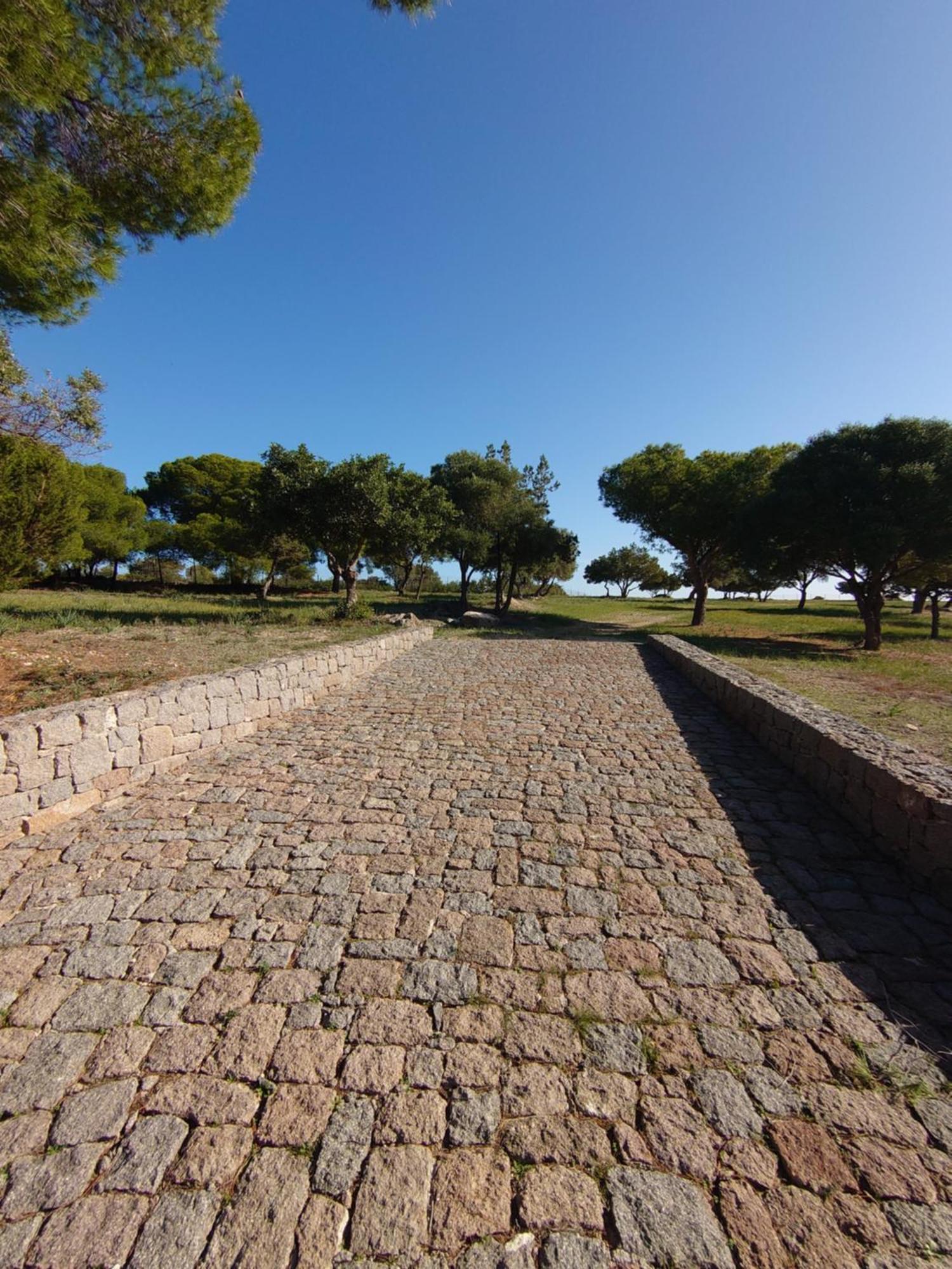 My Way Kavos * Agia Marina (Aegina)